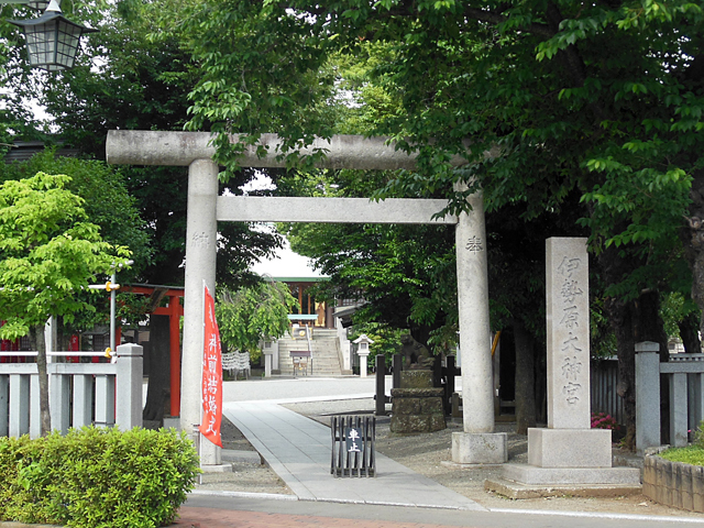 神奈川県伊勢原市 伊勢原大神宮 ちょっとそこまで Byなかちゃん